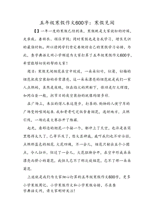 五年级寒假作文600字：寒假见闻.docx