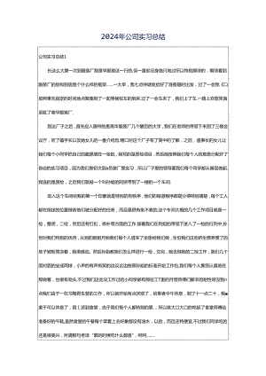 2024年公司实习总结.docx