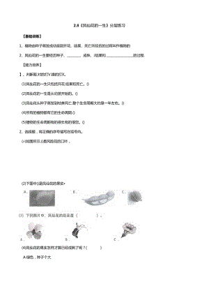 2.8《凤仙花的一生》分层练习（含答案） 人教鄂教版小学科学三年级下册.docx