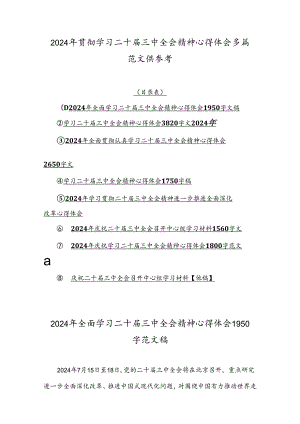 2024年贯彻学习二十届三中全会精神心得体会多篇范文供参考.docx