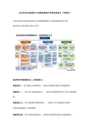 2024 CSCO晚期非小细胞肺癌诊疗指南更新要点(附图表).docx