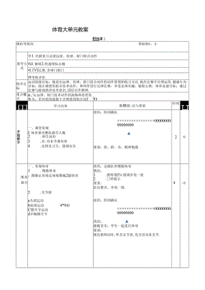 人教四年级体育与健康第16课考核课 大单元课时教案.docx