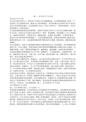 会计顶岗实习个人总结.docx