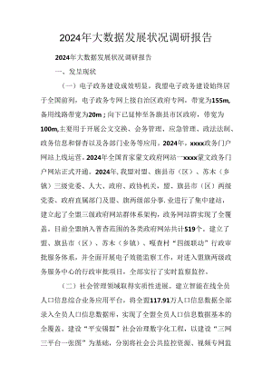 2024年大数据发展情况调研报告.docx