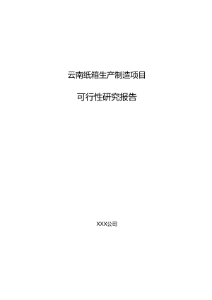 云南纸箱生产制造项目可行性研究报告.docx