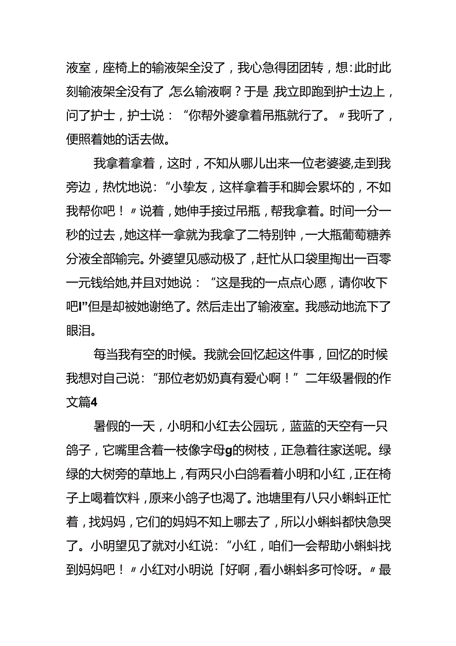 二年级暑假的作文.docx_第3页