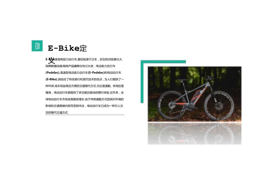 2024全球E-Bike市场洞察报告.docx_第1页