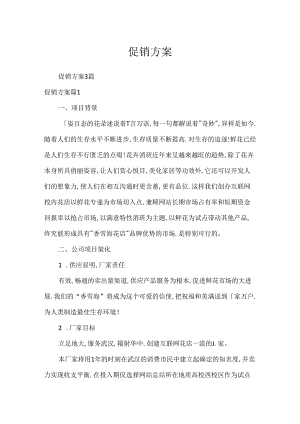 促销方案.docx