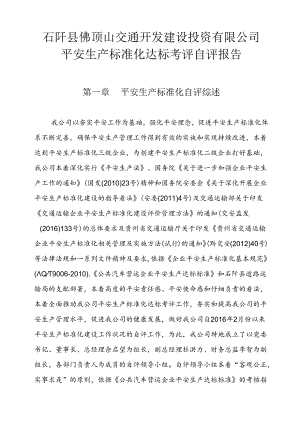 公司自评报告(十六项综述).docx