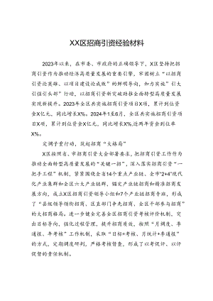 XX区招商引资经验材料.docx