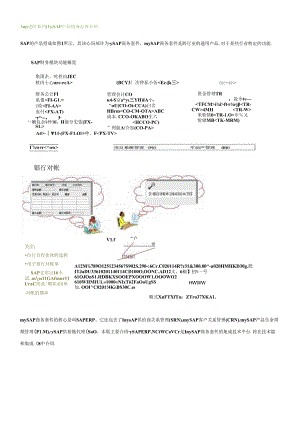 SAP产品构成总体介绍.docx