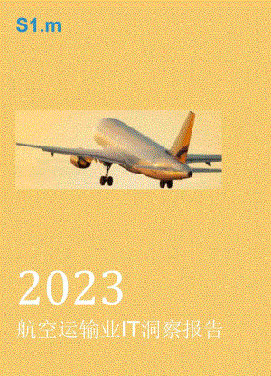 【研报】2023年航空运输业IT洞察报告.docx