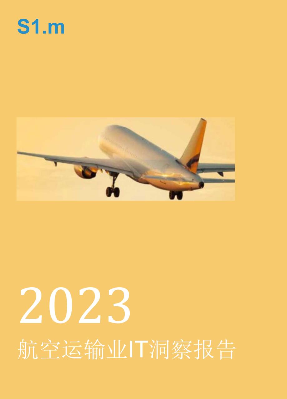 【研报】2023年航空运输业IT洞察报告.docx_第1页