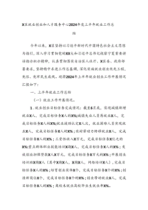 X区就业创业和人才服务中心2024年度上半年就业工作总结.docx