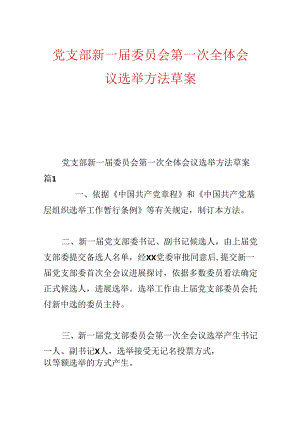 党支部新一届委员会第一次全体会议选举办法草案.docx