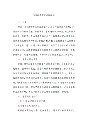 X市招商引资考察报告.docx