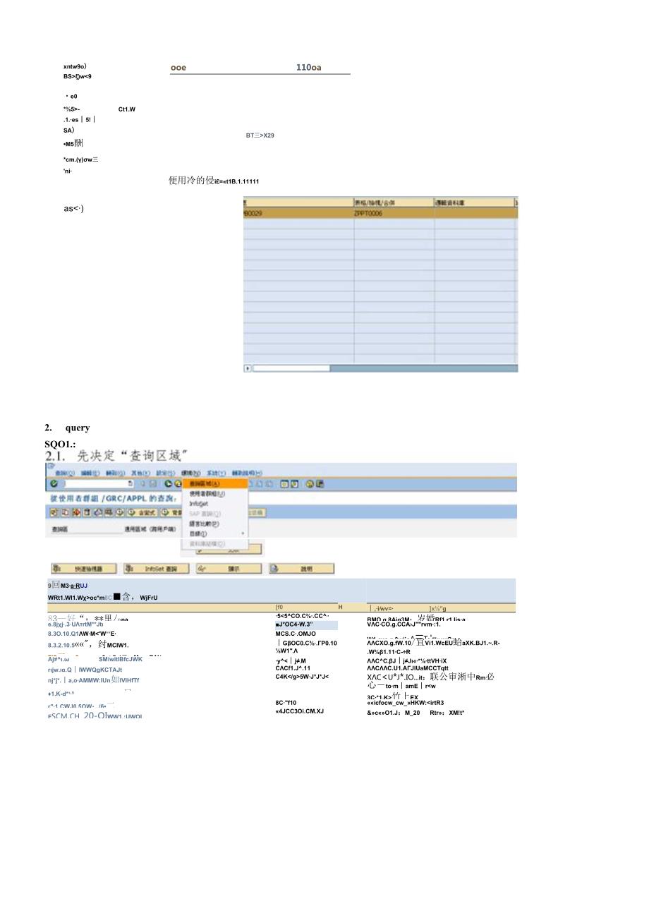 SAPQuery_2.docx_第2页