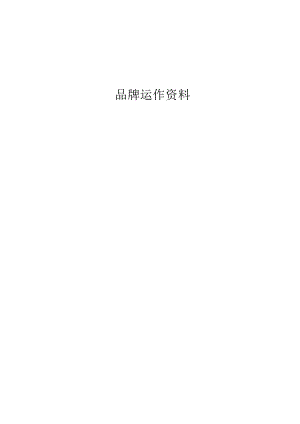 XX电子商务公司的品牌运作资料（DOC149页）.docx