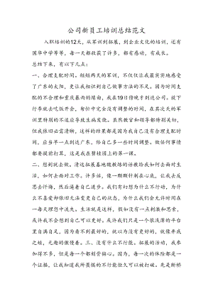 公司新员工培训总结范文.docx