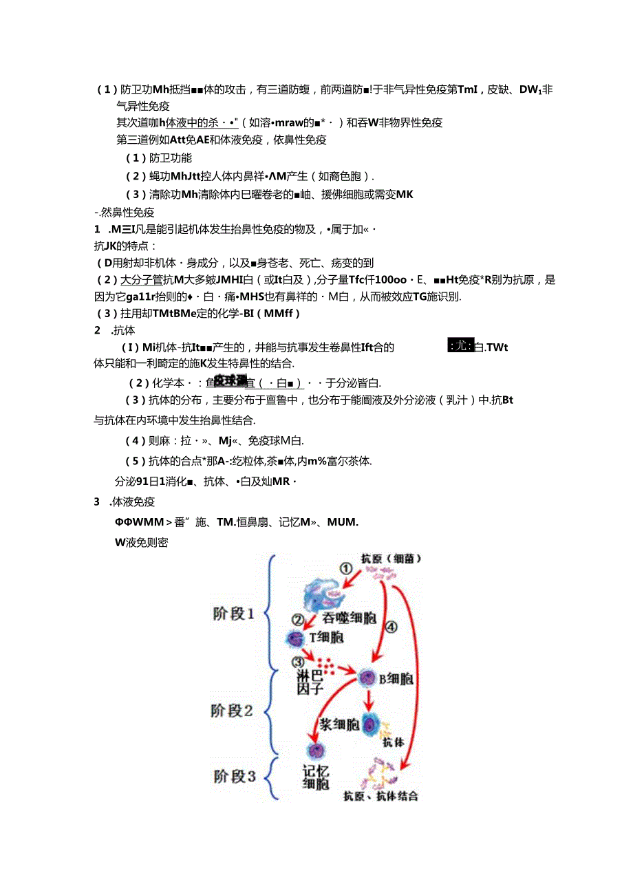 免疫调节(知识点笔记).docx_第2页