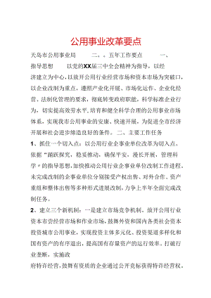 公用事业改革要点.docx