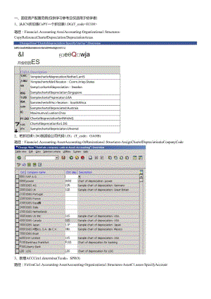 sap固定资产配置及操作过程.docx