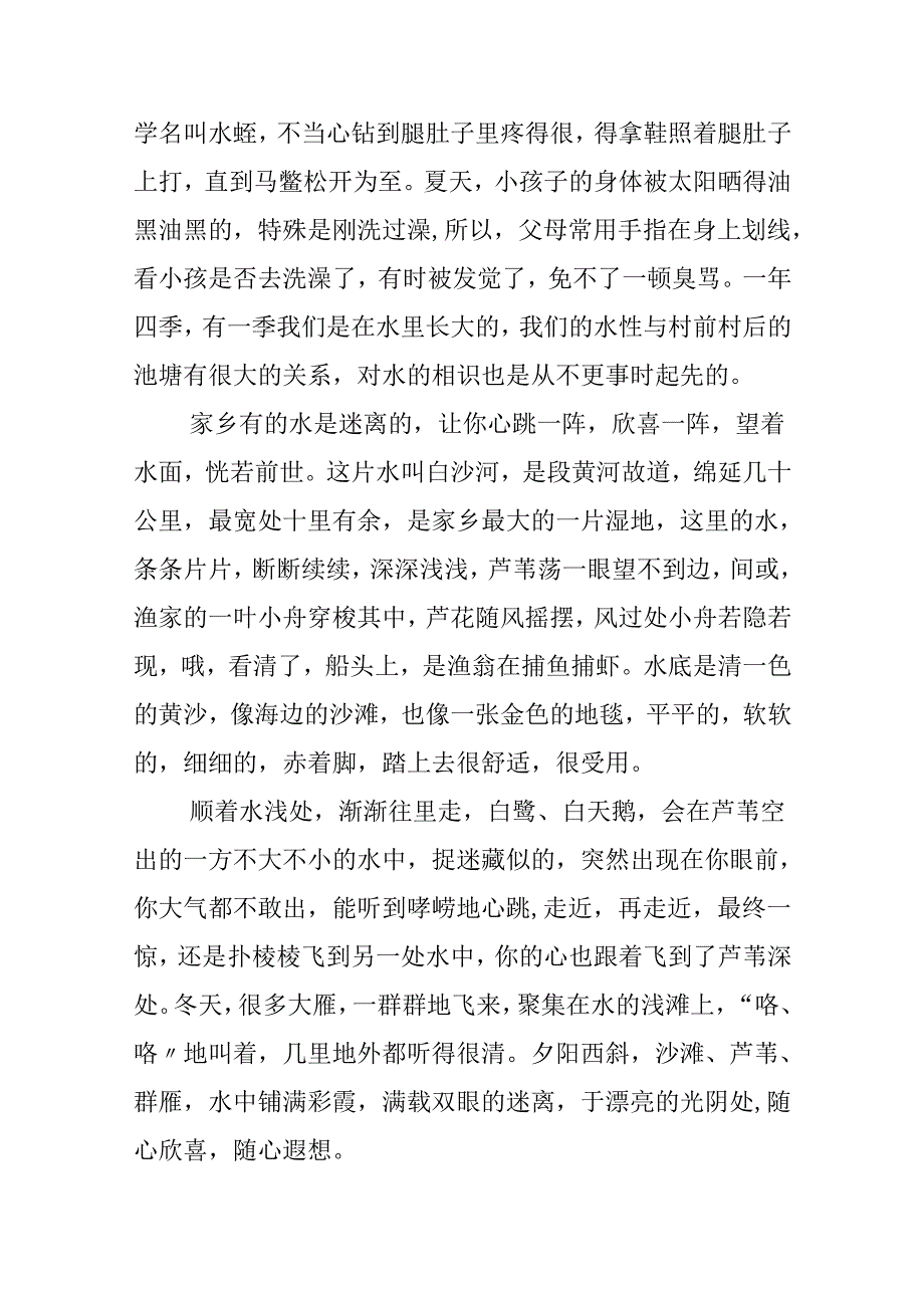 优秀作文：家乡的水.docx_第2页