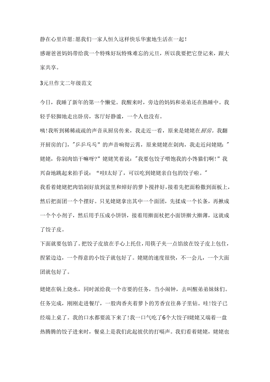 元旦作文二年级范文.docx_第3页