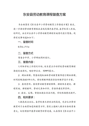 东安县劳动教育课程督查方案.docx