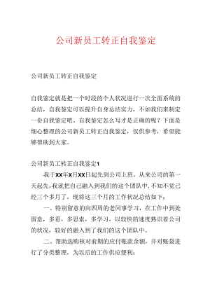 公司新员工转正自我鉴定.docx