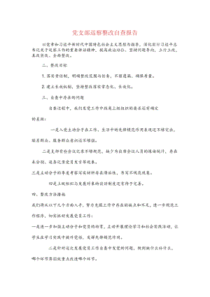 党支部巡视整改自查报告与党支部换届选举来的工作报告汇编.docx