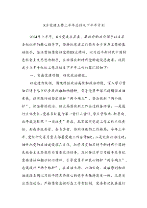 X乡党建工作上半年总结及下半年计划.docx