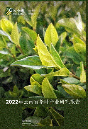 【茶饮报告】2022年云南省茶叶产业研究简报.docx