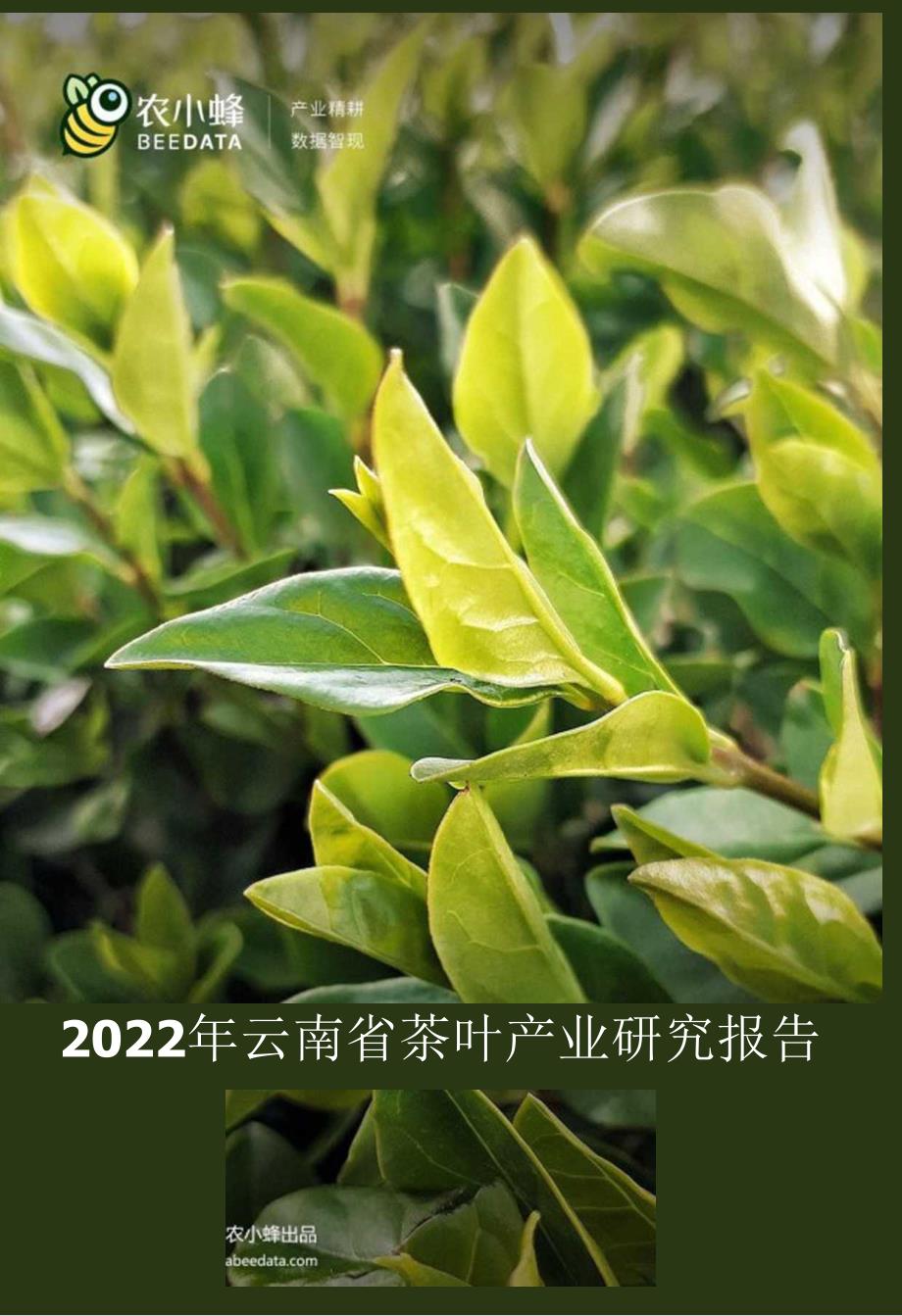 【茶饮报告】2022年云南省茶叶产业研究简报.docx_第1页