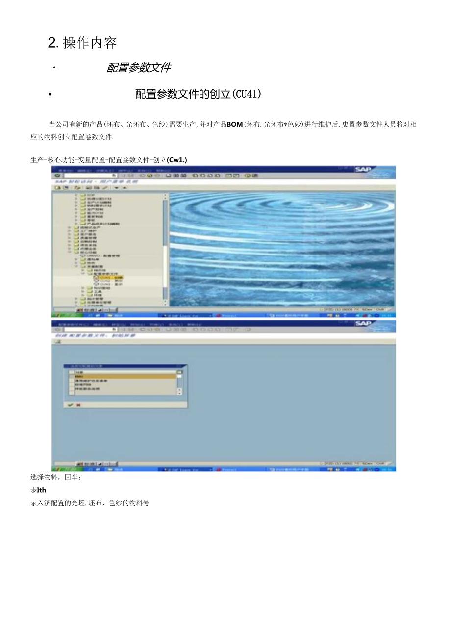 SAP配置参数文件.docx_第3页