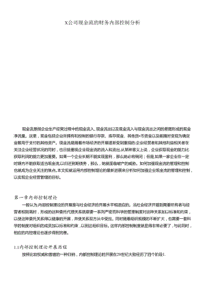 XX公司现金流的财务内部控制分析DOC.docx