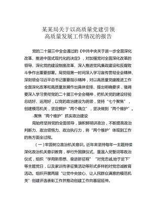 某某局关于以高质量党建引领高质量发展工作情况的报告.docx