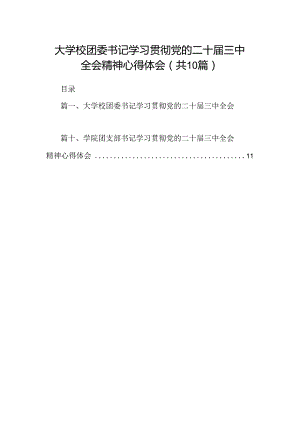 大学校团委书记学习贯彻党的二十届三中全会精神心得体会（共10篇）.docx