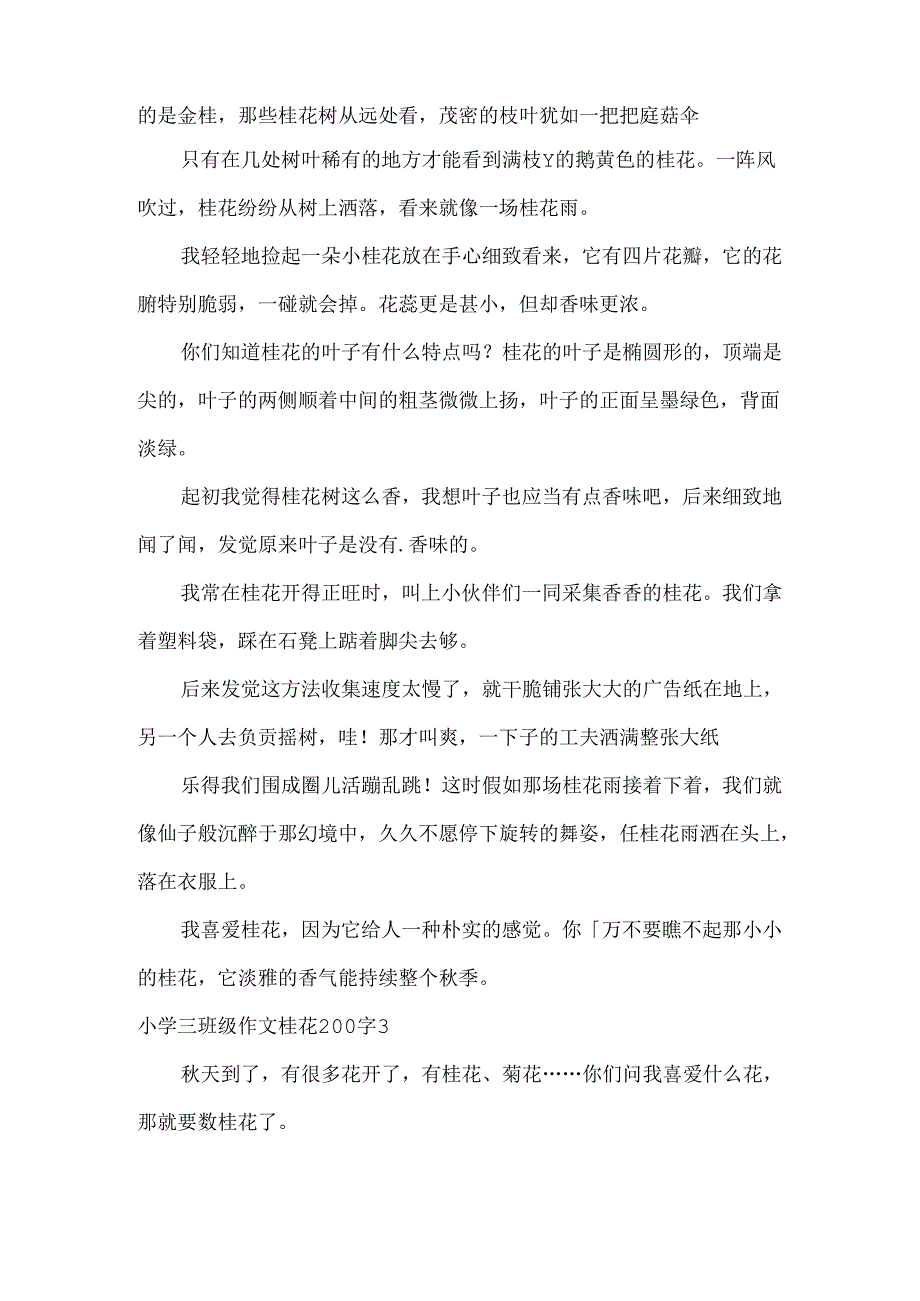 小学三年级作文桂花200字8篇.docx_第2页