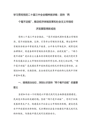 学习贯彻党的二十届三中全会精神宣讲稿及党课讲稿范文2篇.docx