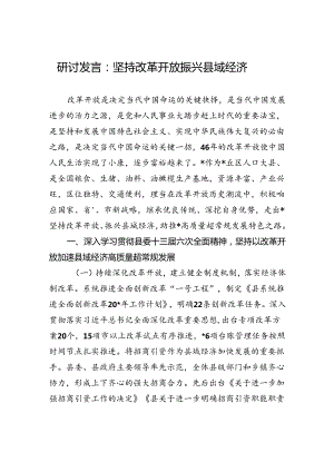 研讨发言：坚持改革开放+振兴县域经济.docx