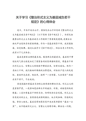 关于学习《整治形式主义为基层减负若干规定》专题培训的心得体会十篇.docx