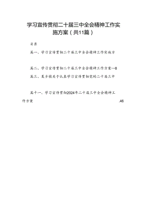 （11篇）学习宣传贯彻二十届三中全会精神工作实施方案模板.docx