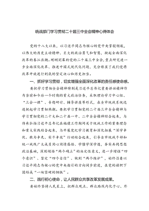 （9篇）统战部门学习贯彻二十届三中全会精神心得体会集合.docx