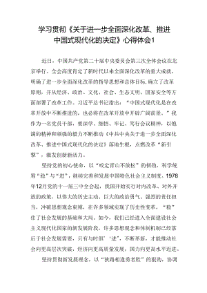 学习贯彻《关于进一步全面深化改革、推进中国式 现代化的决定》心得体会8篇.docx