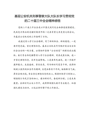 基层公安机关刑事警察大队大队长学习贯彻党的二十届三中全会精神感悟.docx