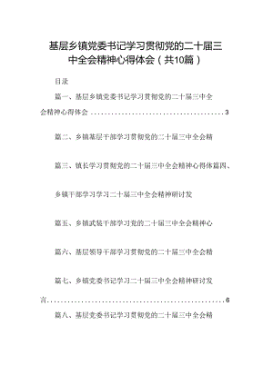 （10篇）基层乡镇党委书记学习贯彻党的二十届三中全会精神心得体会范文.docx