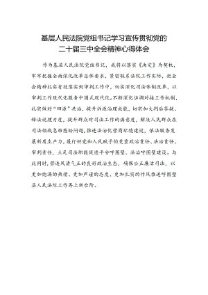 基层人民法院党组书记学习宣传贯彻党的二十届三中全会精神心得体会.docx