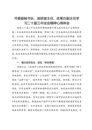 市委副秘书长、政研室主任、改革办副主任学习二十届三中全会精神心得体会.docx