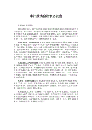 审计反馈会议表态发言.docx